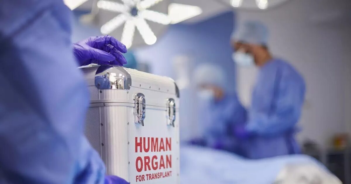 Organ donation: Greece’s historical record in transplants for 2025 – Life in 240 patients