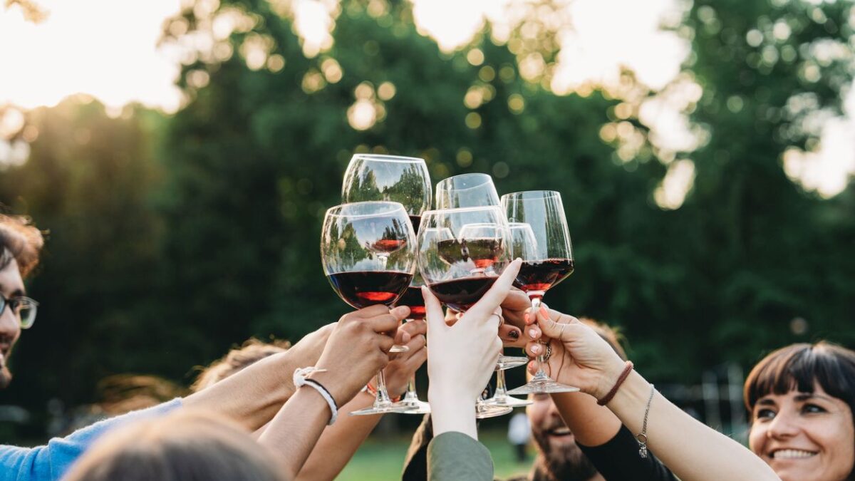 Ξινόμαυρο: H ήρεμη δύναμη του βορρά είναι η πιο δυνατή φωνή του ελληνικού αμπελώνα