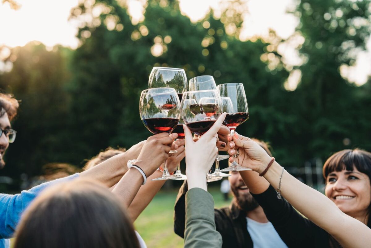 Ξινόμαυρο: H ήρεμη δύναμη του βορρά είναι η πιο δυνατή φωνή του ελληνικού αμπελώνα