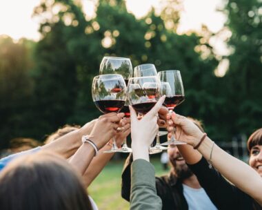 Ξινόμαυρο: H ήρεμη δύναμη του βορρά είναι η πιο δυνατή φωνή του ελληνικού αμπελώνα