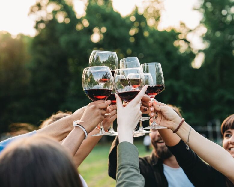 Ξινόμαυρο: H ήρεμη δύναμη του βορρά είναι η πιο δυνατή φωνή του ελληνικού αμπελώνα