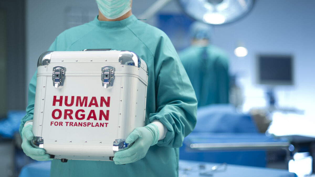 surgeon with his fresh delivery