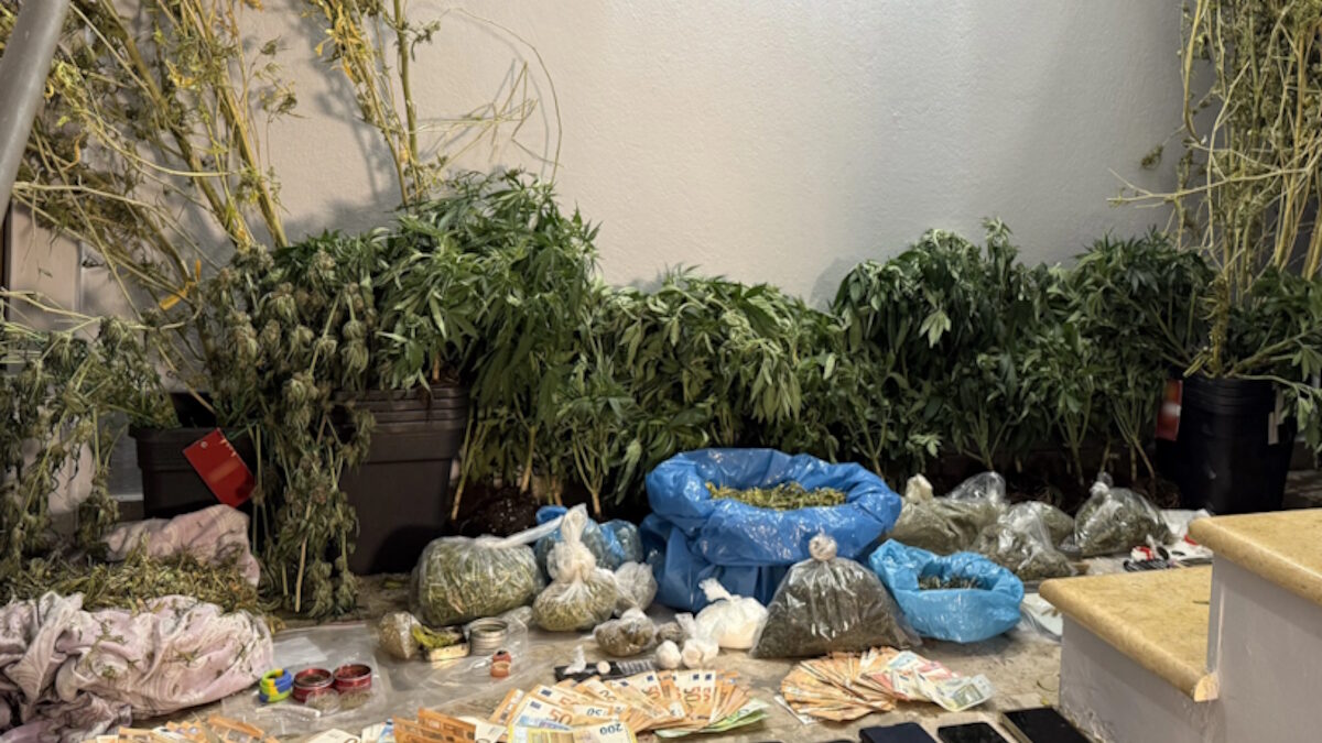 Σπείρα καλλιεργούσε και διακινούσε κάνναβη στην Τροιζηνία
