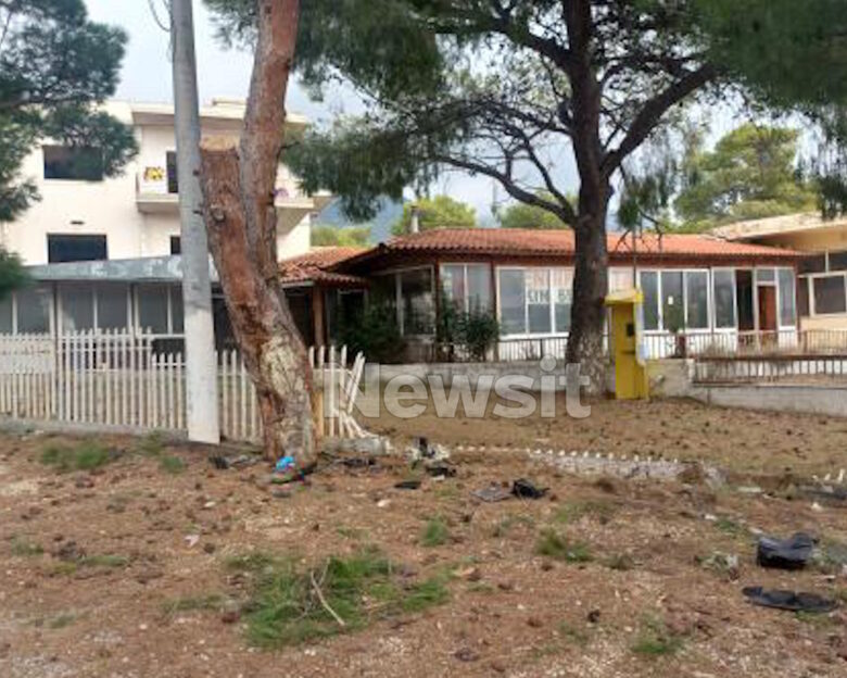 Μενίδι: Μόνος του βγήκε από το αυτοκίνητο ο οδηγός που καρφώθηκε σε δέντρο – Παλεύει για τη ζωή του στο νοσοκομείο