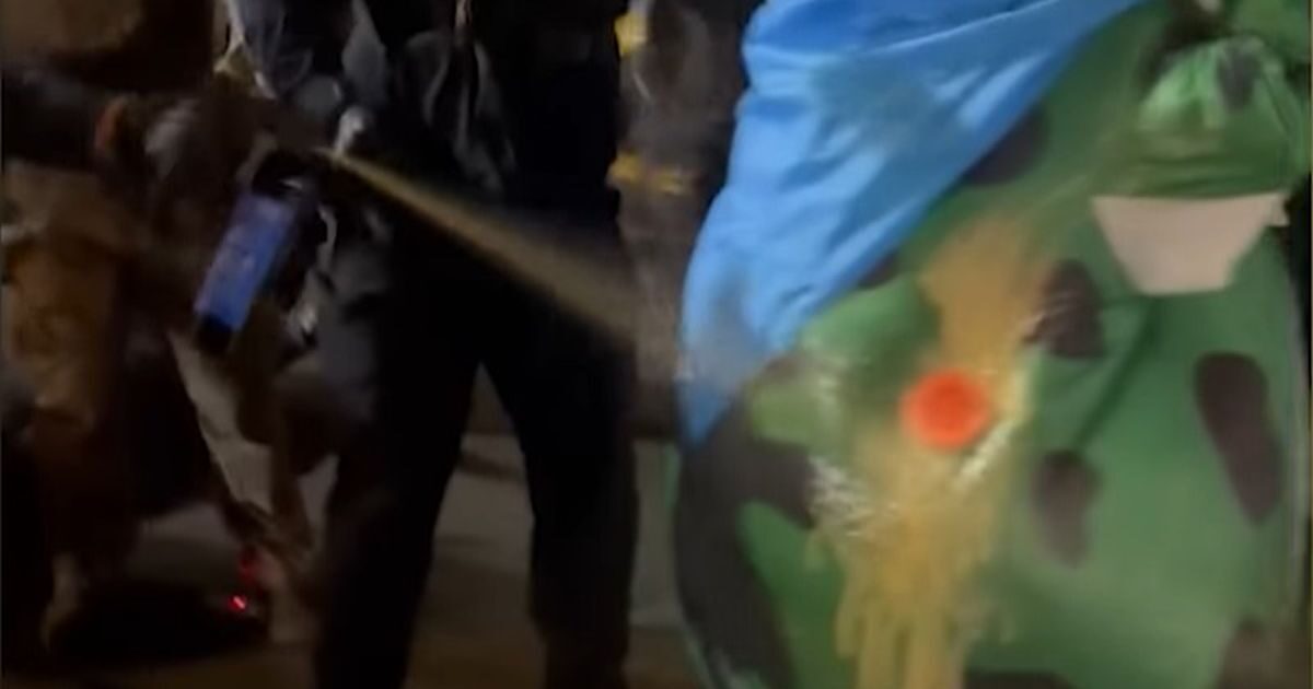 Portland: Officers sprayed with pepper spray a demonstrator dressed frog – for “rebellion” without evidence Trump speaks