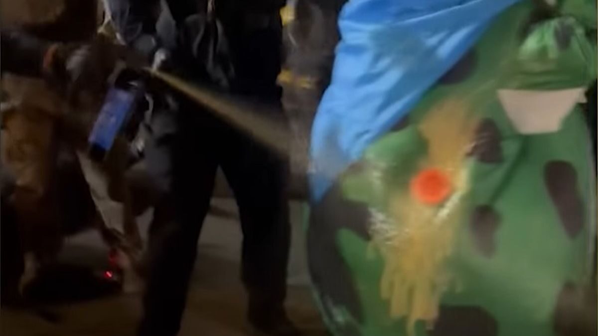 Αστυνομικοί ψεκάζουν  με σπρέι πιπεριού διαδηλωτή ντυμένο βάτραχο στο Πόρτλαντ