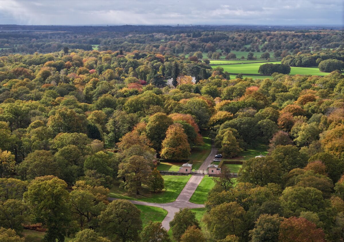 Royal Lodge