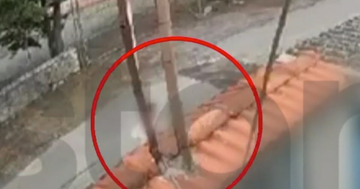 Tripoli: A girl the cause of the bloody pupils’ conflict – in the intensive 12 -year -old with head, face and neck wound
