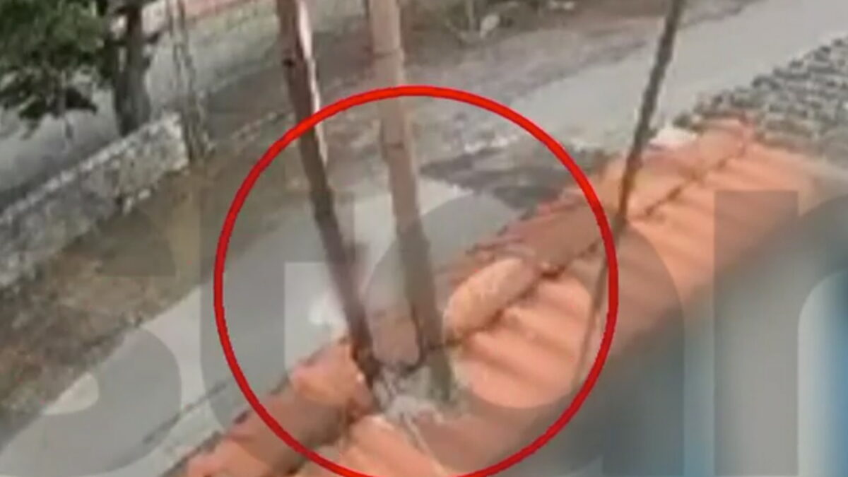 Η στιγμή της συμπλοκής των μαθητών