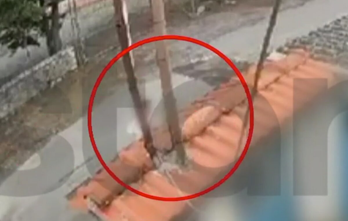 Η στιγμή της συμπλοκής των μαθητών