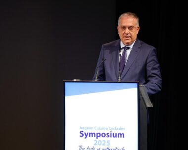 Θεοδωρικάκος: Προτεραιότητα οι επενδύσεις στη ναυπηγική βιομηχανία και η στήριξη των νησιών