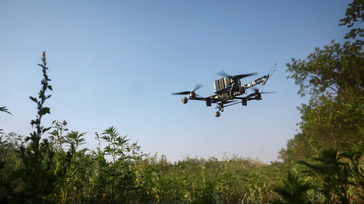 drone