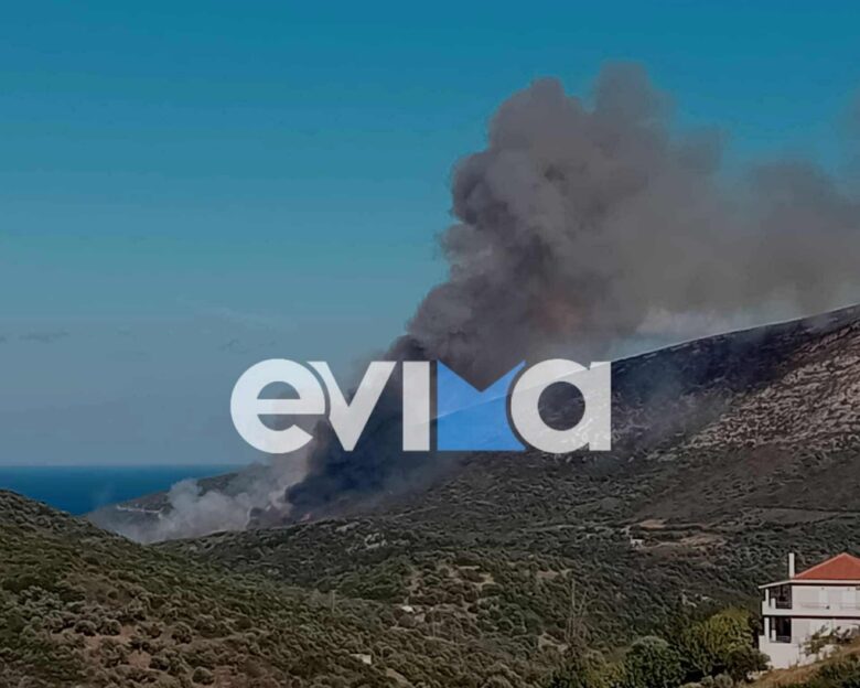 Φωτιά στους Ζάρακες στην Εύβοια: Καίγεται δασική έκταση – Κοντά στα σπίτια οι φλόγες