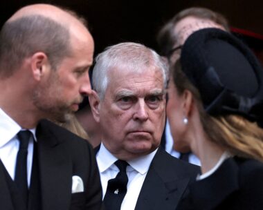 Πρίγκιπας Γουίλιαμ Κέιτ Μίντλετον και πρίγκιπας Άντριου