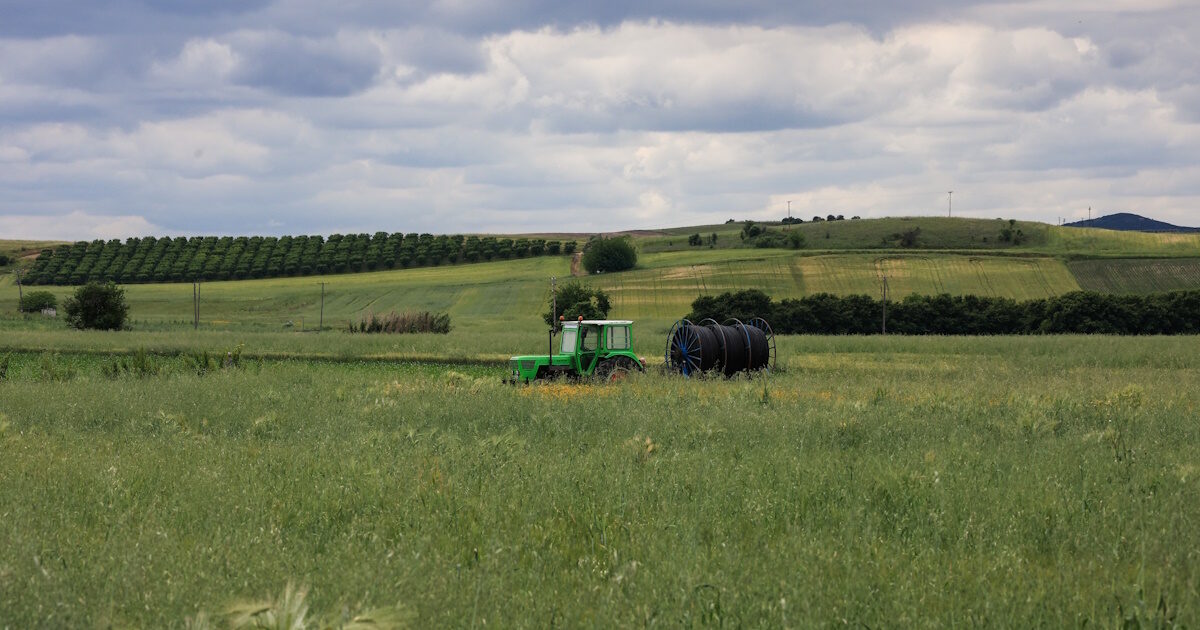 OPEKEPE: The payment of basic support is not affected by the results of the AMS system for linked schemes