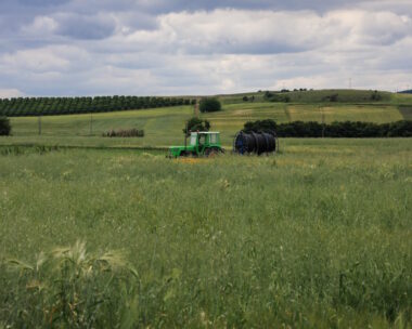 Τρακτέρ σε χωράφι