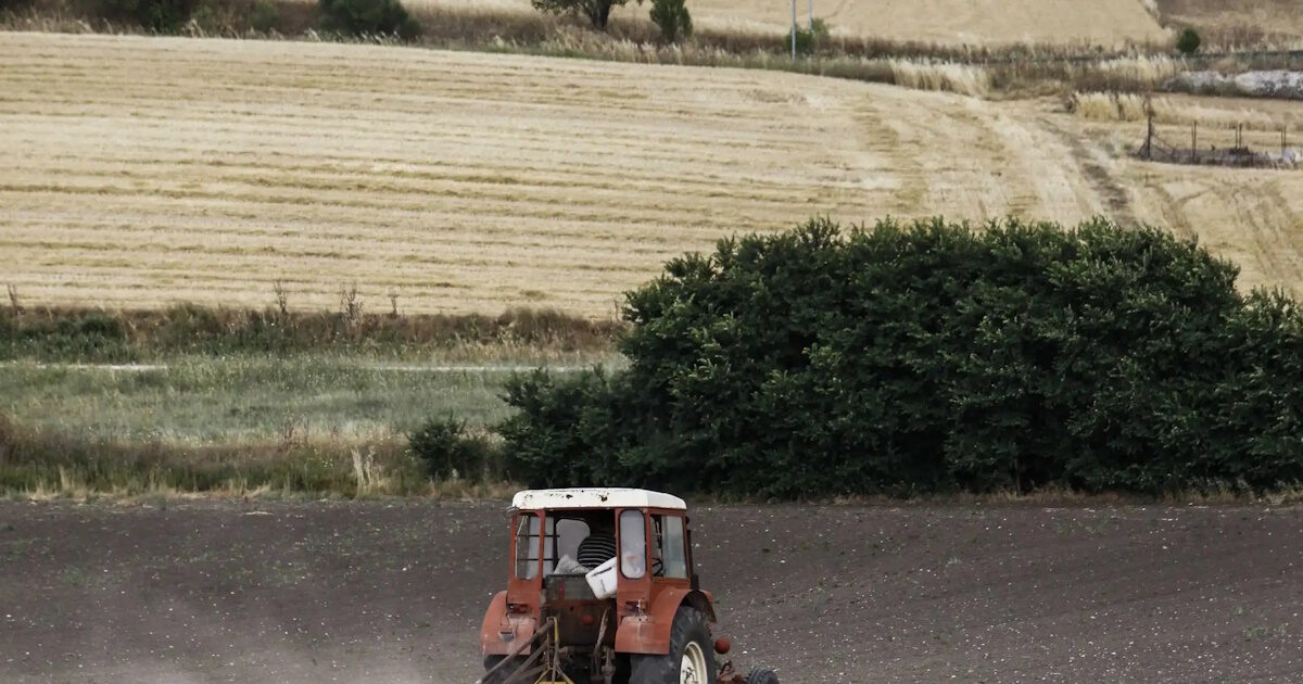 Return of oil excise tax: What amounts can farmers earn with the new limits – Detailed examples