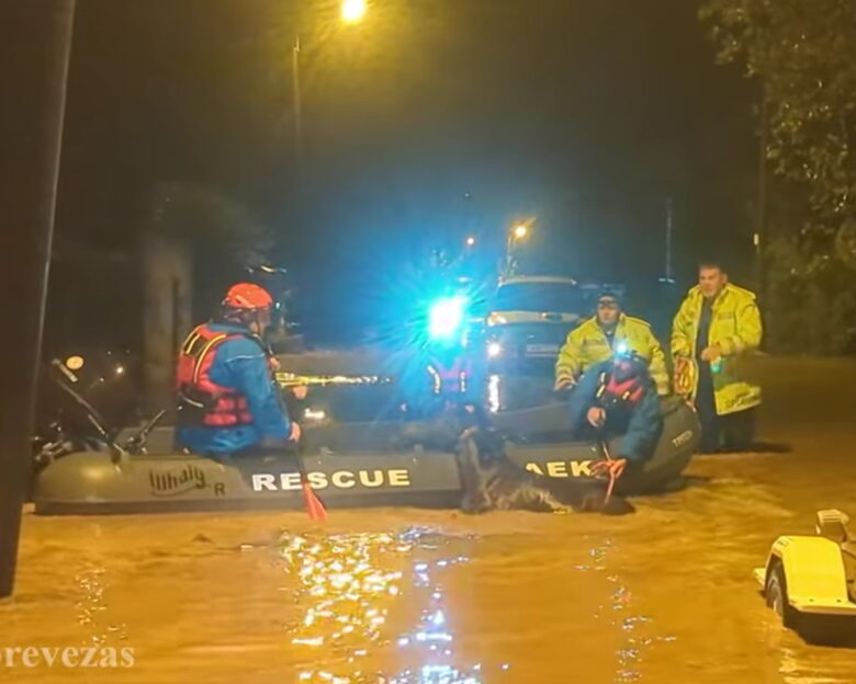 Φιλιππιάδα: Διασώστες απεγκλώβισαν άλογο που είχε παγιδευτεί εξαιτίας των έντονων βροχοπτώσεων