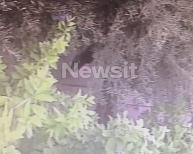 Ανθρωπος πίσω από δέντρα