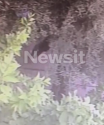 Ανθρωπος πίσω από δέντρα