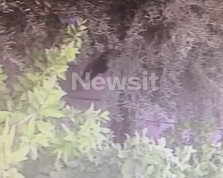 Άγρια συμπλοκή ανηλίκων στο Νέο Ηράκλειο: Βίντεο ντοκουμέντο από την άφιξη των περιπολικών – «Είχε ρίξει τον άλλον κάτω και τον κλωτσούσε»