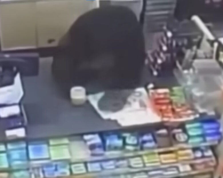 ΗΠΑ: Αρκούδα εισέβαλε σε κατάστημα και κυνήγησε 11χρονο – Βίντεο την δείχνει να πηδάει πάνω σε πάγκο