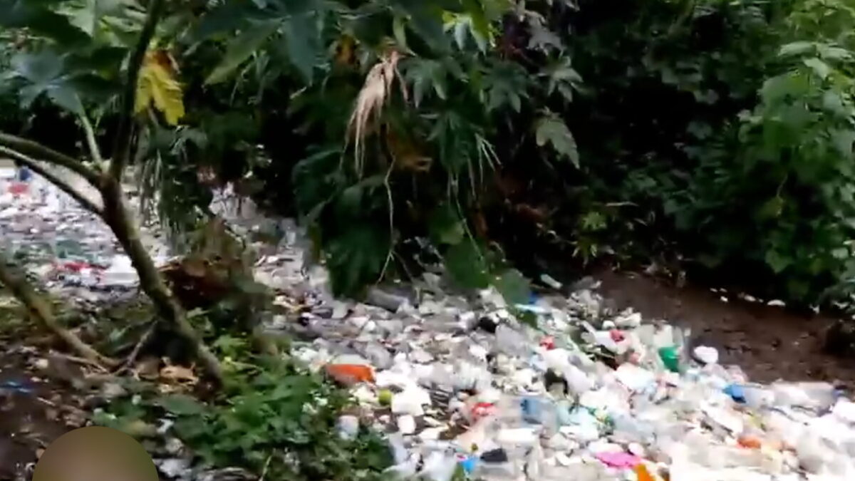 Άστρος Κυνουρίας