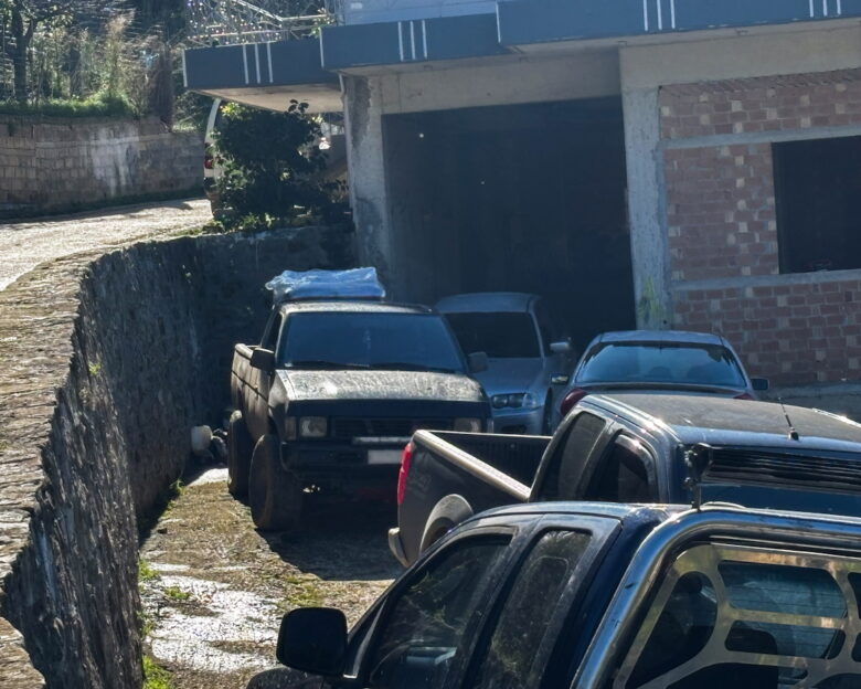 Αχαΐα: Σε στάνη είχαν κρύψει την μοιραία γουρούνα οι συγγενείς του 25χρονου – Ο πατέρας του 3χρονου υπέδειξε το σημείο