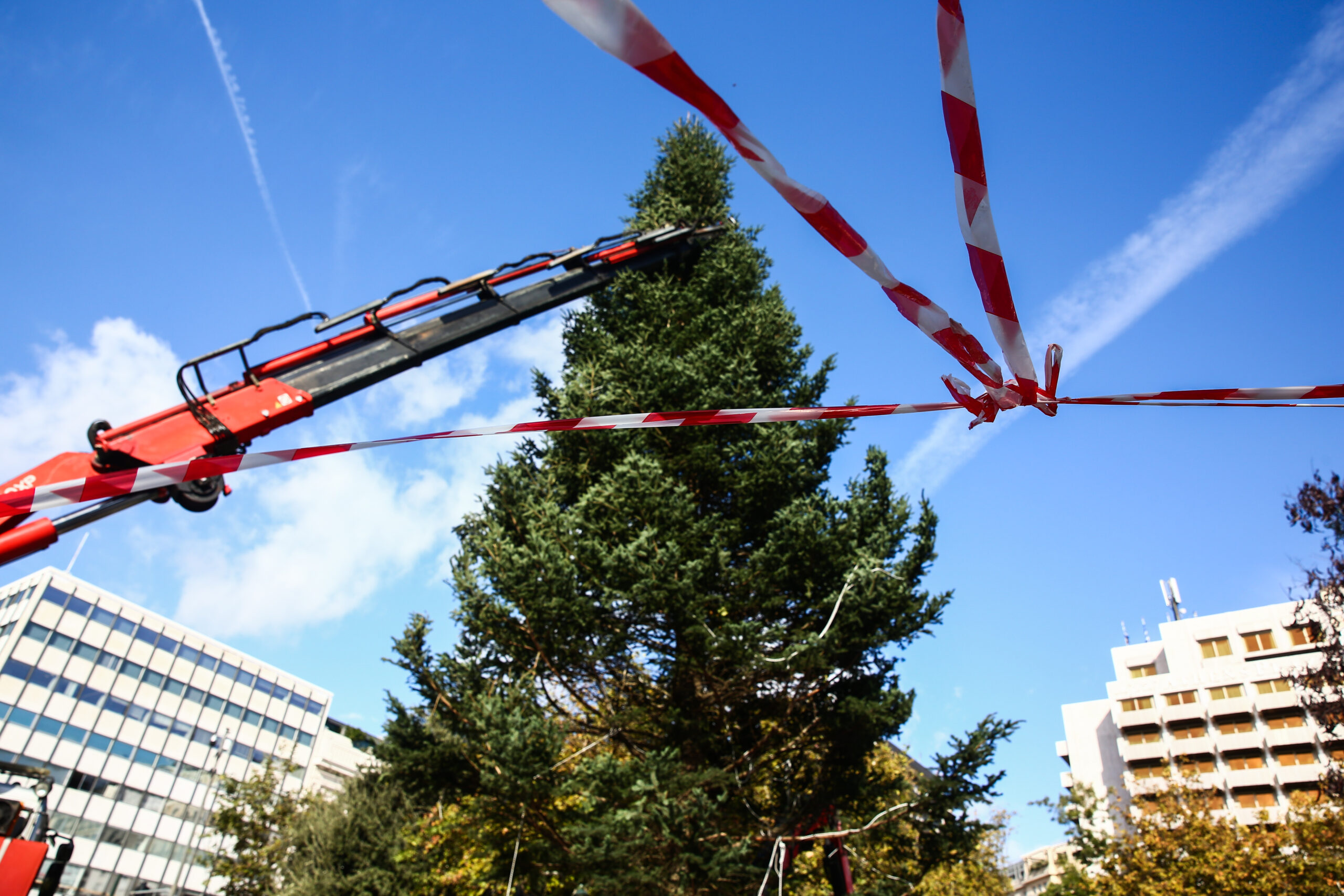 Χριστουγεννιάτικο δέντρο