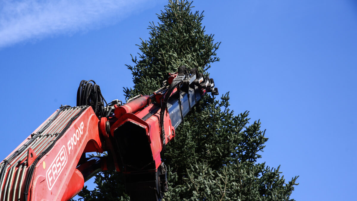 Χριστουγεννιάτικο δέντρο