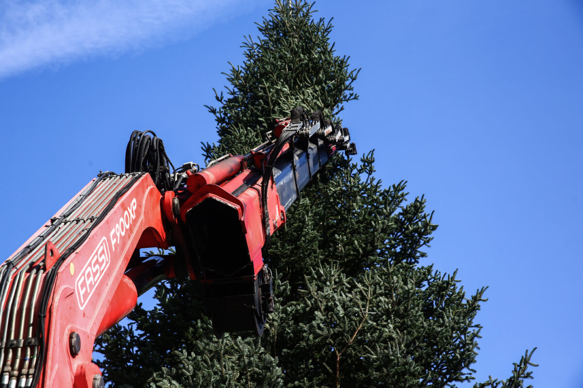 Χριστουγεννιάτικο δέντρο
