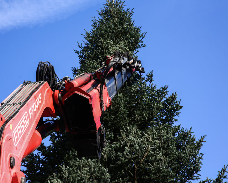 Η μαγεία των Χριστουγέννων φτάνει σε Αθήνα και Θεσσαλονίκη με την άφιξη των εντυπωσιακών χριστουγεννιάτικων δέντρων τους