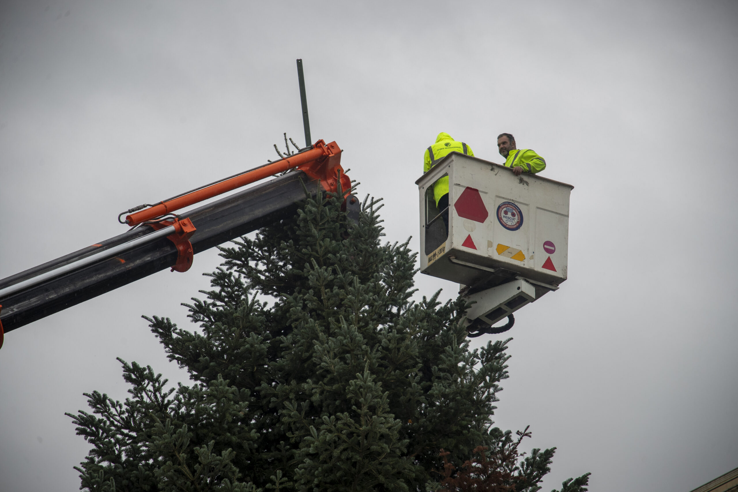 Χριστουγεννιάτικο δέντρο