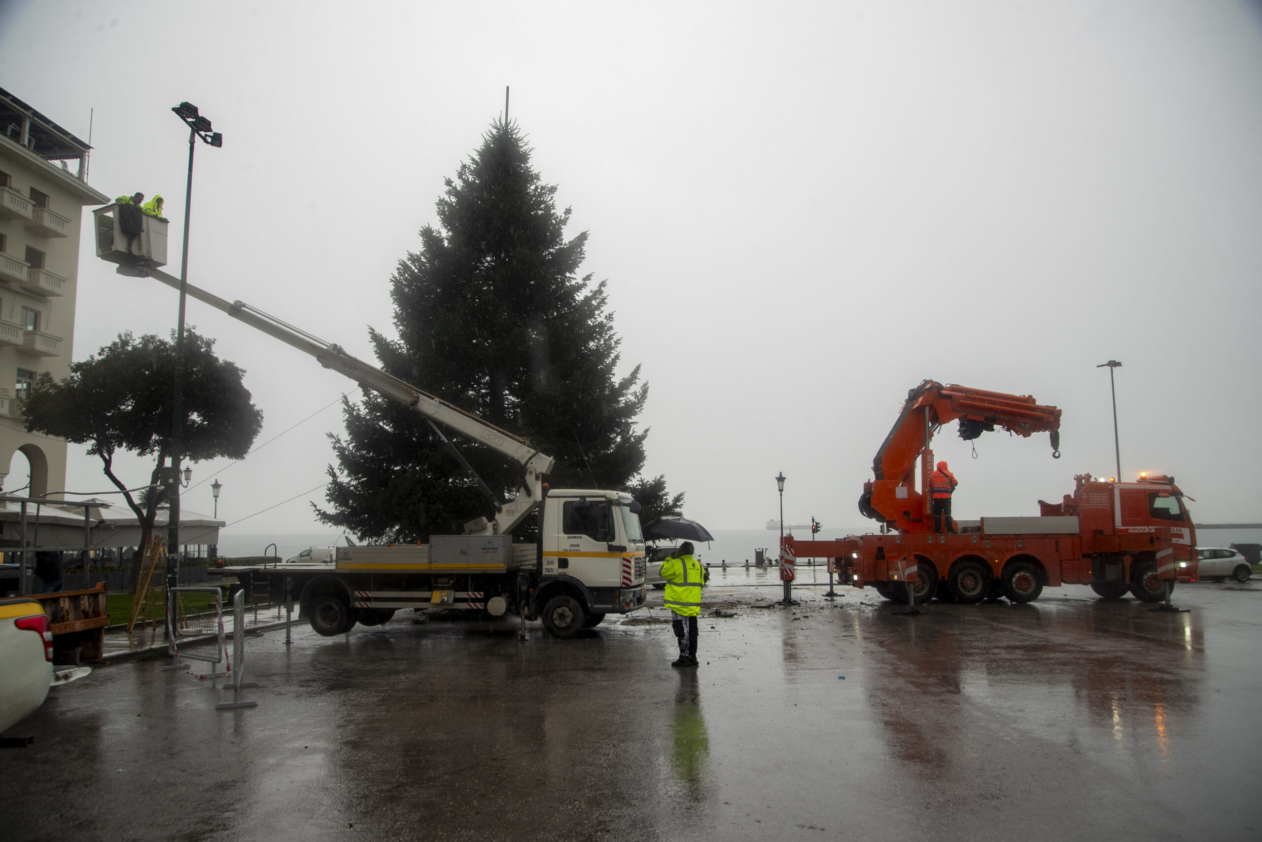 Χριστουγεννιάτικο δέντρο