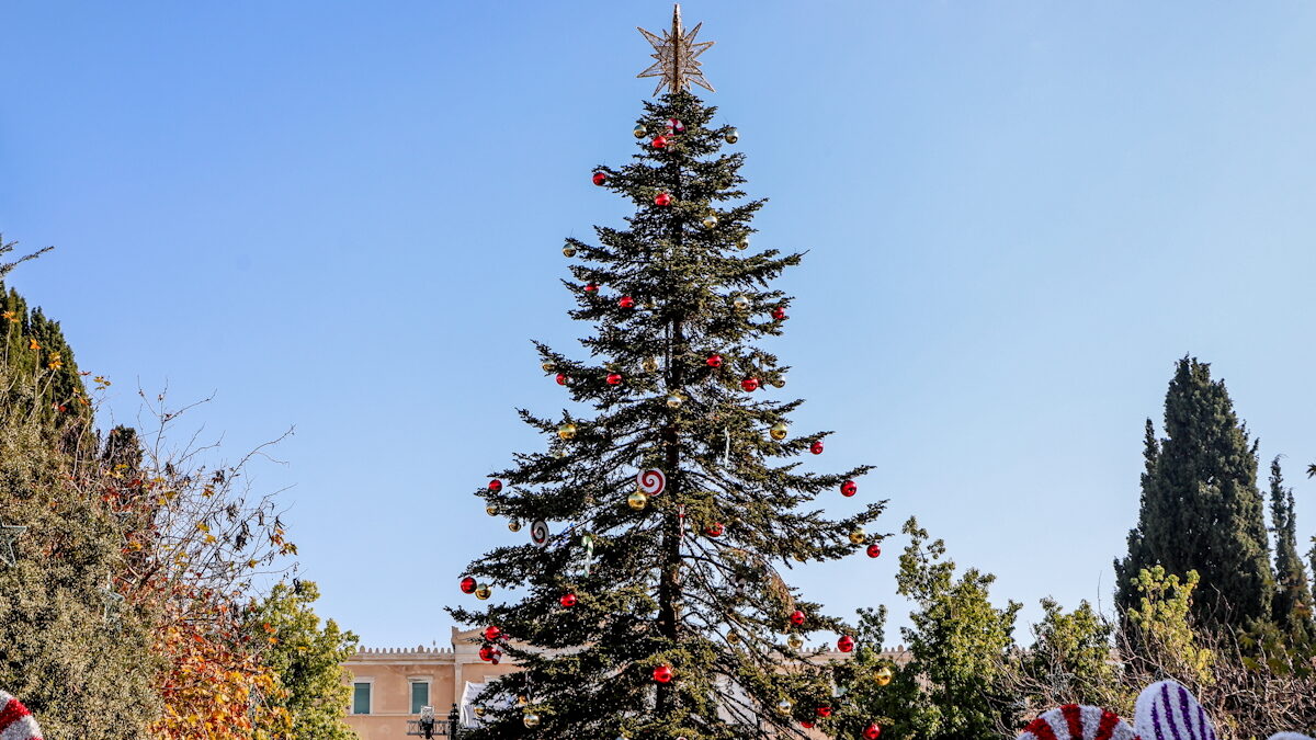 Χριστουγεννιάτικο δέντρο