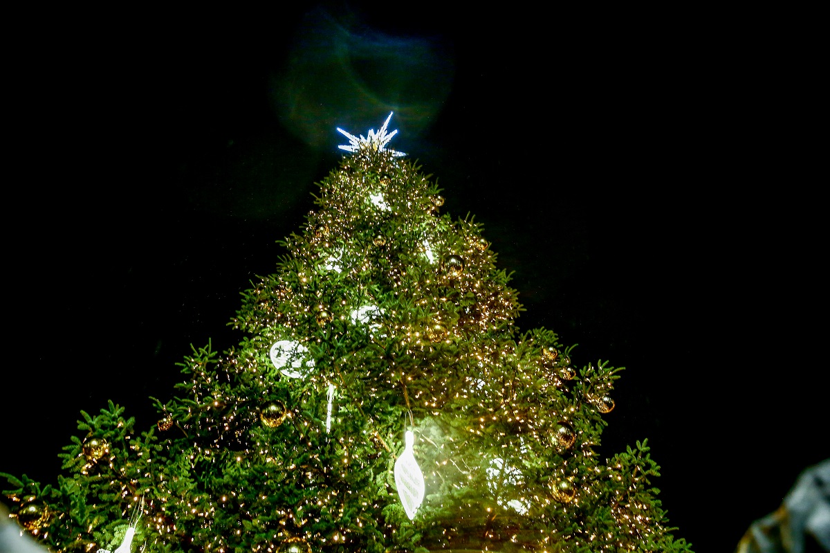 ΤΑΤΙΑΝΑ ΜΠΟΛΑΡΗ