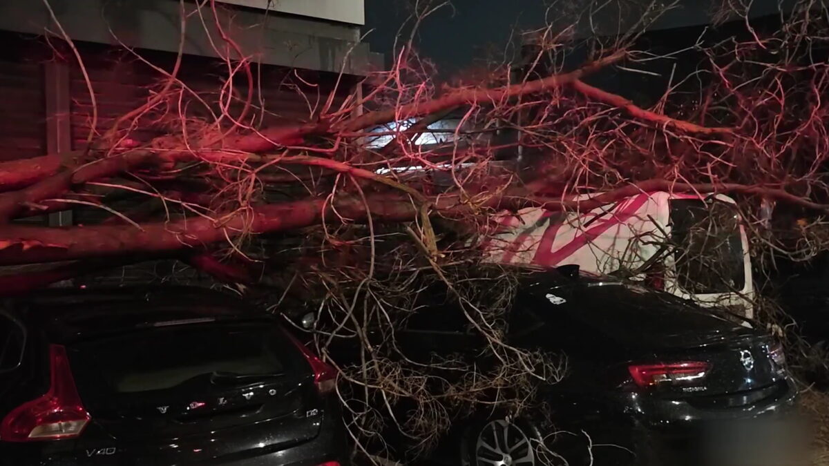 Δέντρο στην Πειραιώς καταπλάκωσε 4 αυτοκίνητα