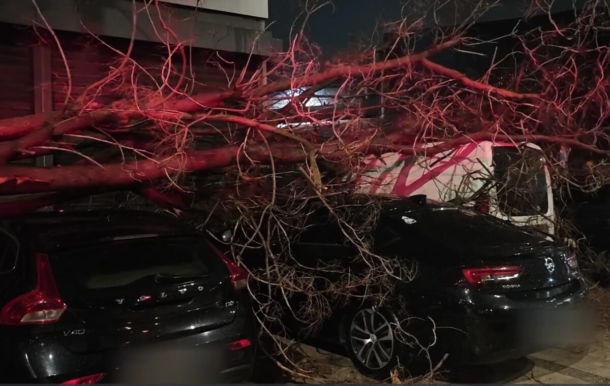 Δέντρο στην Πειραιώς καταπλάκωσε 4 αυτοκίνητα