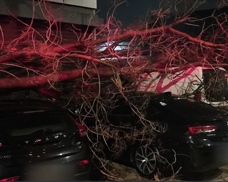 Καιρός: Σφοδρή καιταιγίδα σάρωσε την Αττική με κεραυνούς και βροντές – Δέντρο στην Πειραιώς πλάκωσε 4 αυτοκίνητα