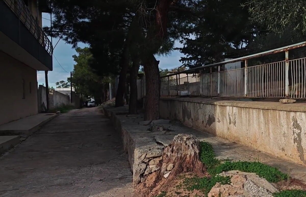 Αδελφοκτονία στη Νέα Πέραμο