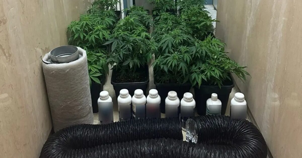 A large criminal organization defrauding citizens was dismantled: 45 arrests, more than 7 million euros in their loot