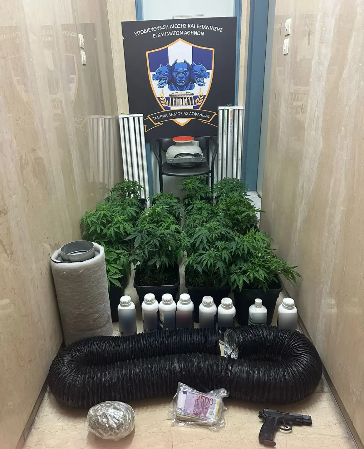 egklhmatikh organwsh apates