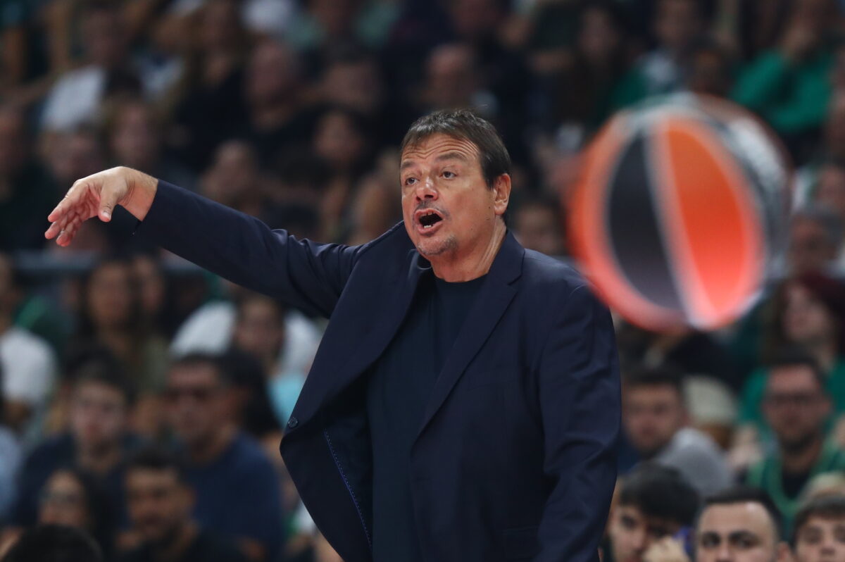 ΦΩΤΟ ΜΑΡΚΟΣ ΧΟΥΖΟΥΡΗΣ