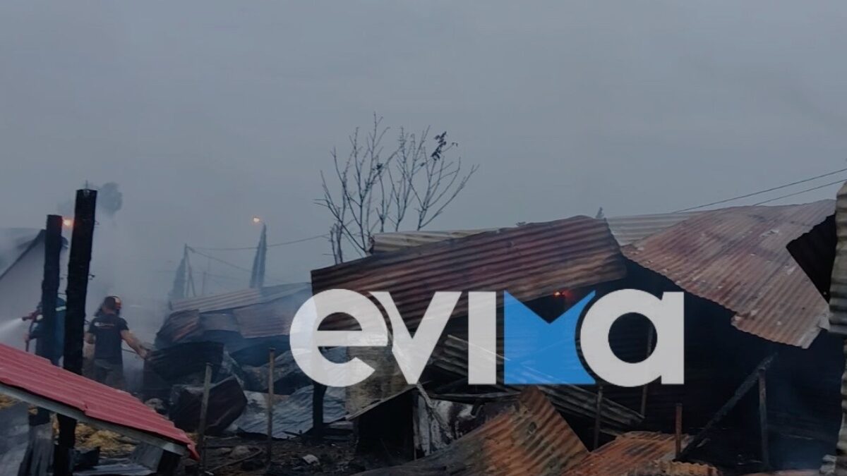 Φωτιά σε μαντρί