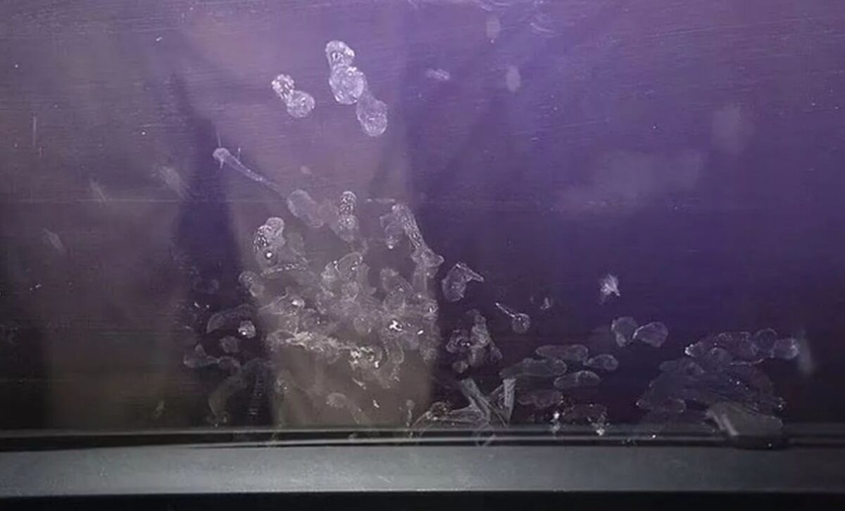 Σοκαριστική φωτογραφία με τα αποτυπώματα του μικρού χεριού στο τζάμι