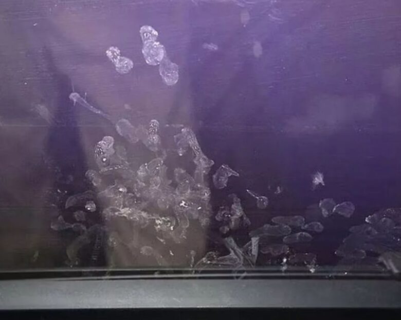 Δίχρονη πάλευε για τη ζωή της ενώ ο πατέρας έβλεπε πορνό: Τα σοκαριστικά αποτυπώματά της στο τζάμι του αυτοκινήτου