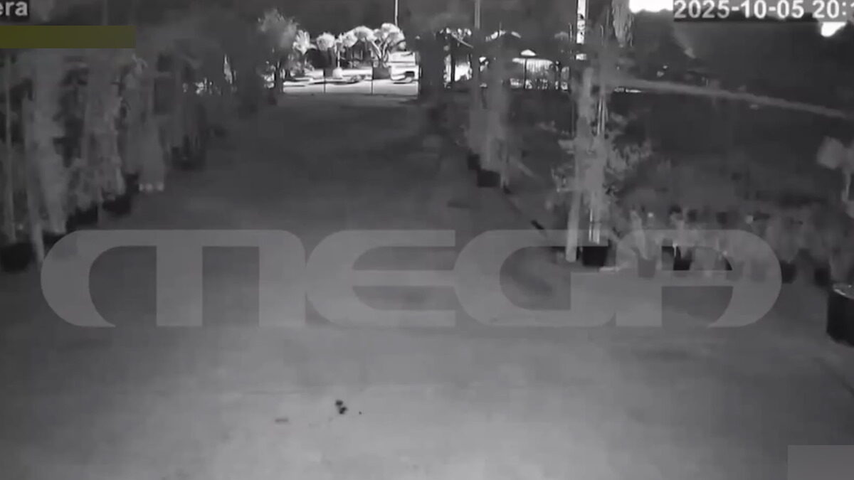 Φοινικούντα: Ηχητικό ντοκουμέντο με τους 6 μοιραίους πυροβολισμούς της διπλής δολοφονίας στο κάμπινγκ