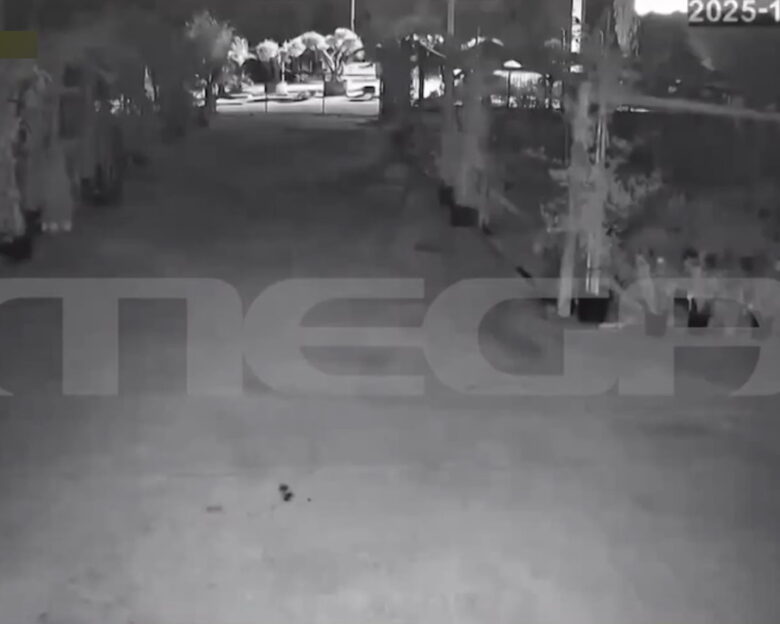 Φοινικούντα: Ηχητικό ντοκουμέντο με τους 6 μοιραίους πυροβολισμούς της διπλής δολοφονίας στο κάμπινγκ