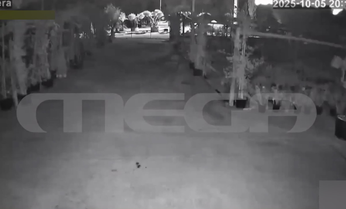 Φοινικούντα: Ηχητικό ντοκουμέντο με τους 6 μοιραίους πυροβολισμούς της διπλής δολοφονίας στο κάμπινγκ