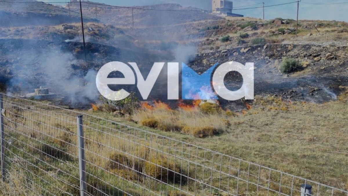 Φωτιά στην Εύβοια